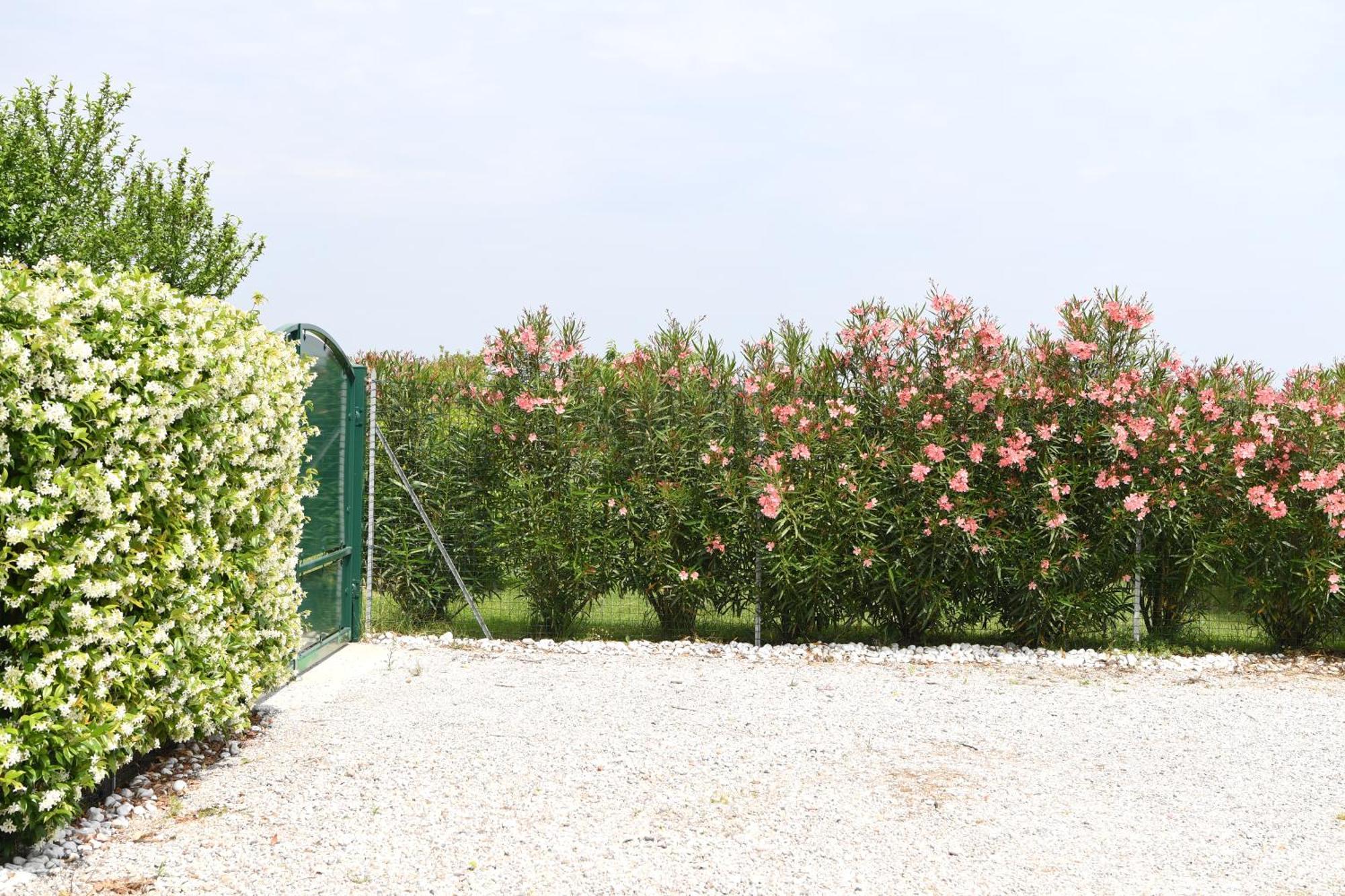 Apartment Ca Adelaide In Ranch Con Giardino *